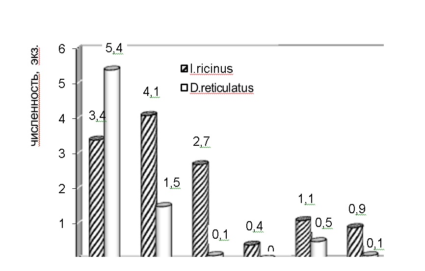 Рис. 1. Сезонная динамика относительной численности I. ricinus и D. reticulatus (на флаго/км) на территории Воронежского заповедника